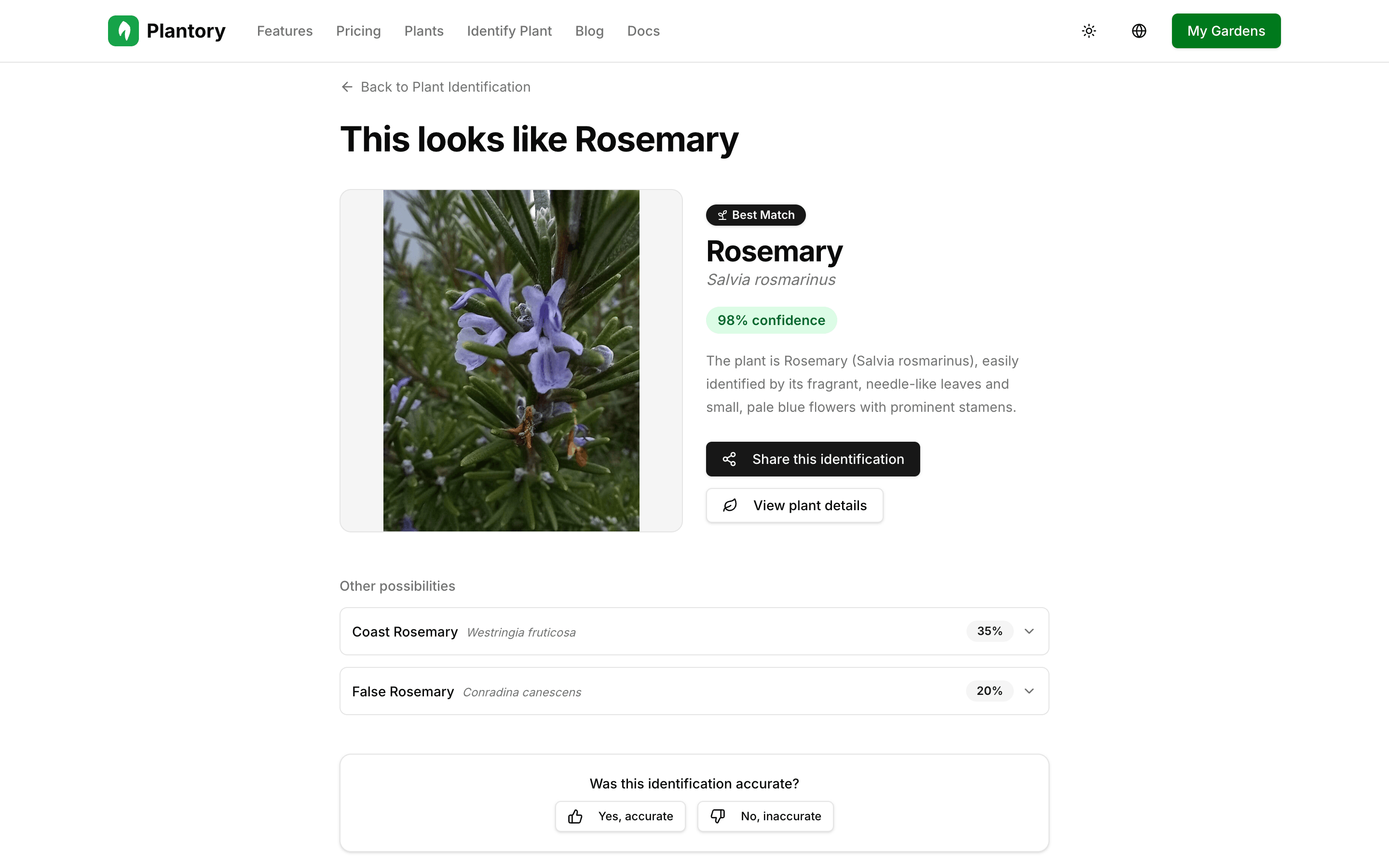 Resultado de identificación mostrando la mejor coincidencia con puntuación de confianza