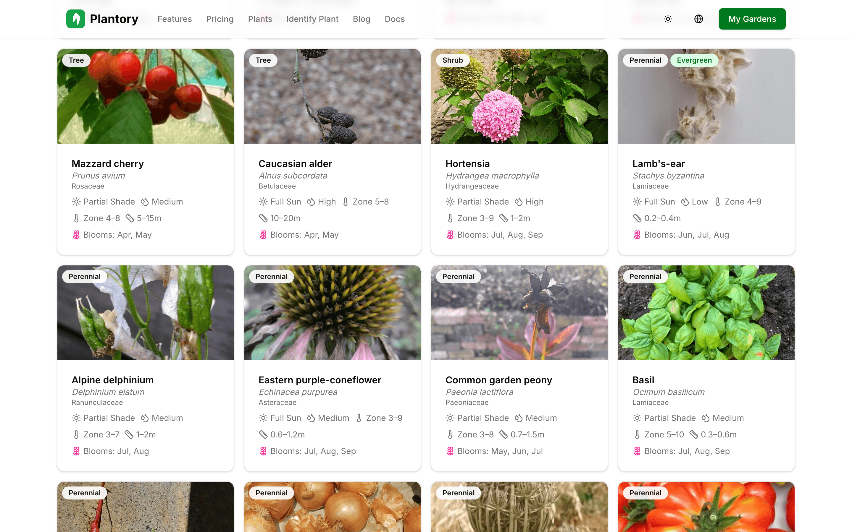 Página de exploración de enciclopedia de plantas con filtros