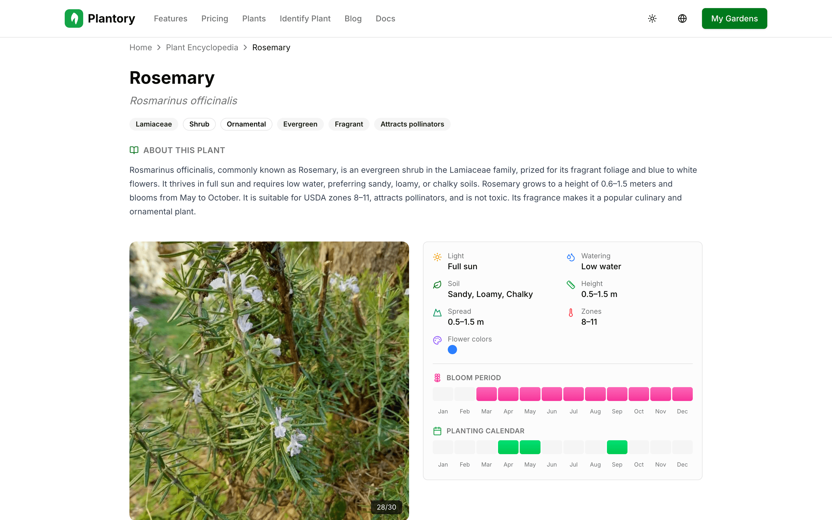 Página de detalle de planta con información de cuidado